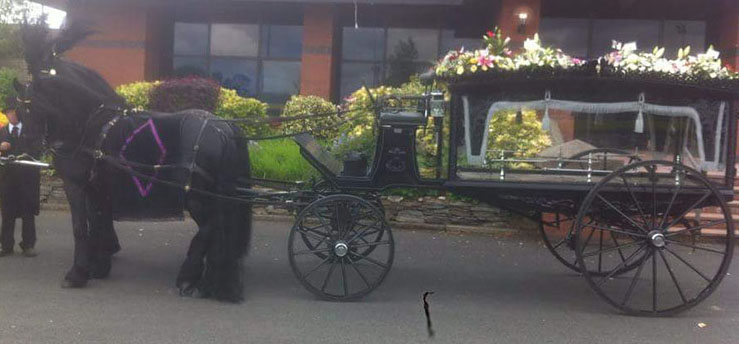o briens funeral horse